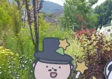 버려진 마스코트 재취업 시켜준 센스 최강 경비원 아저씨.jpg