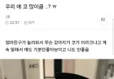 우리 애 코 많이큼..?ㅠ.jpg