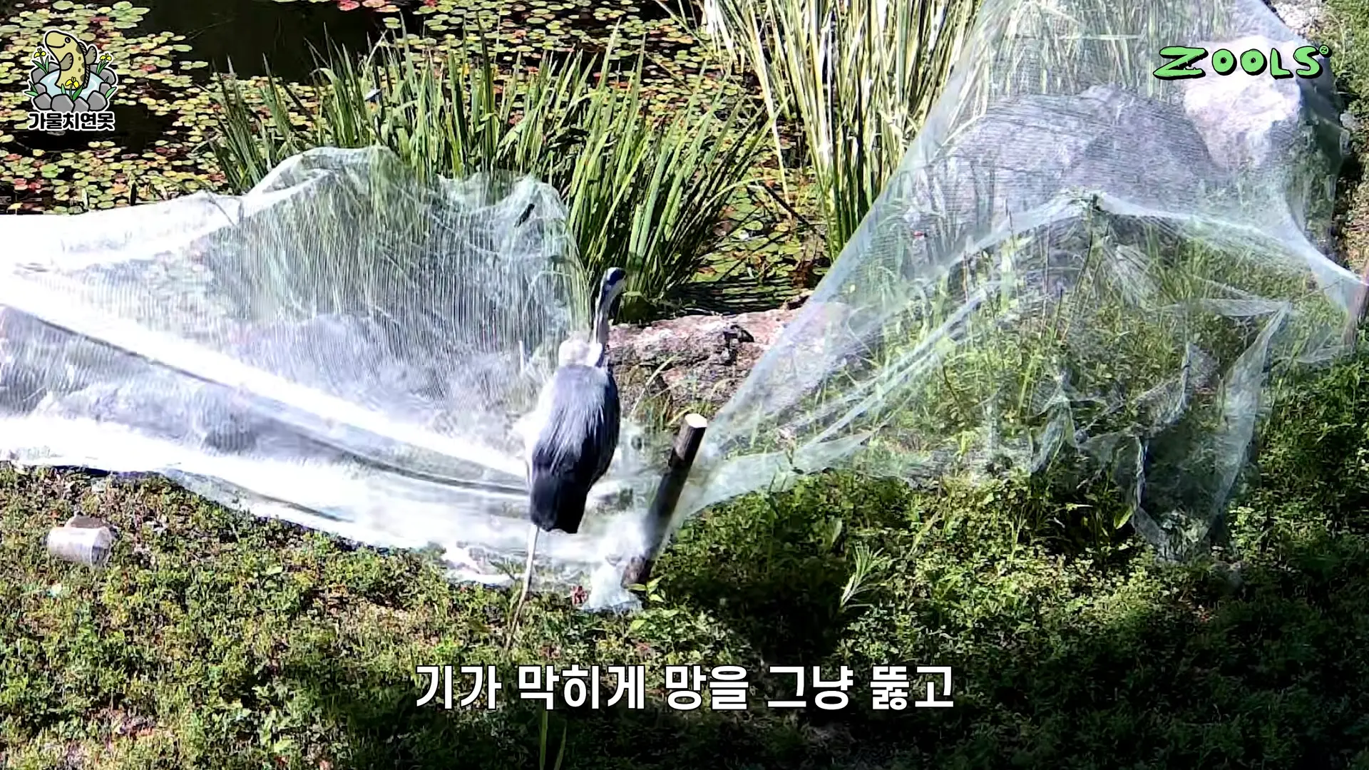 미져버립니다 미쳐버려 1-14 screenshot.png