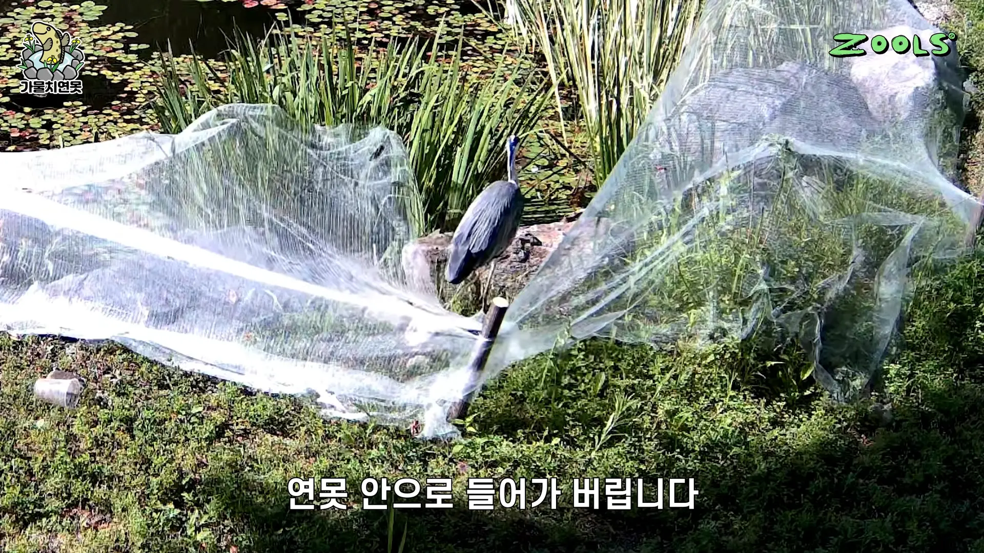 미져버립니다 미쳐버려 1-16 screenshot.png