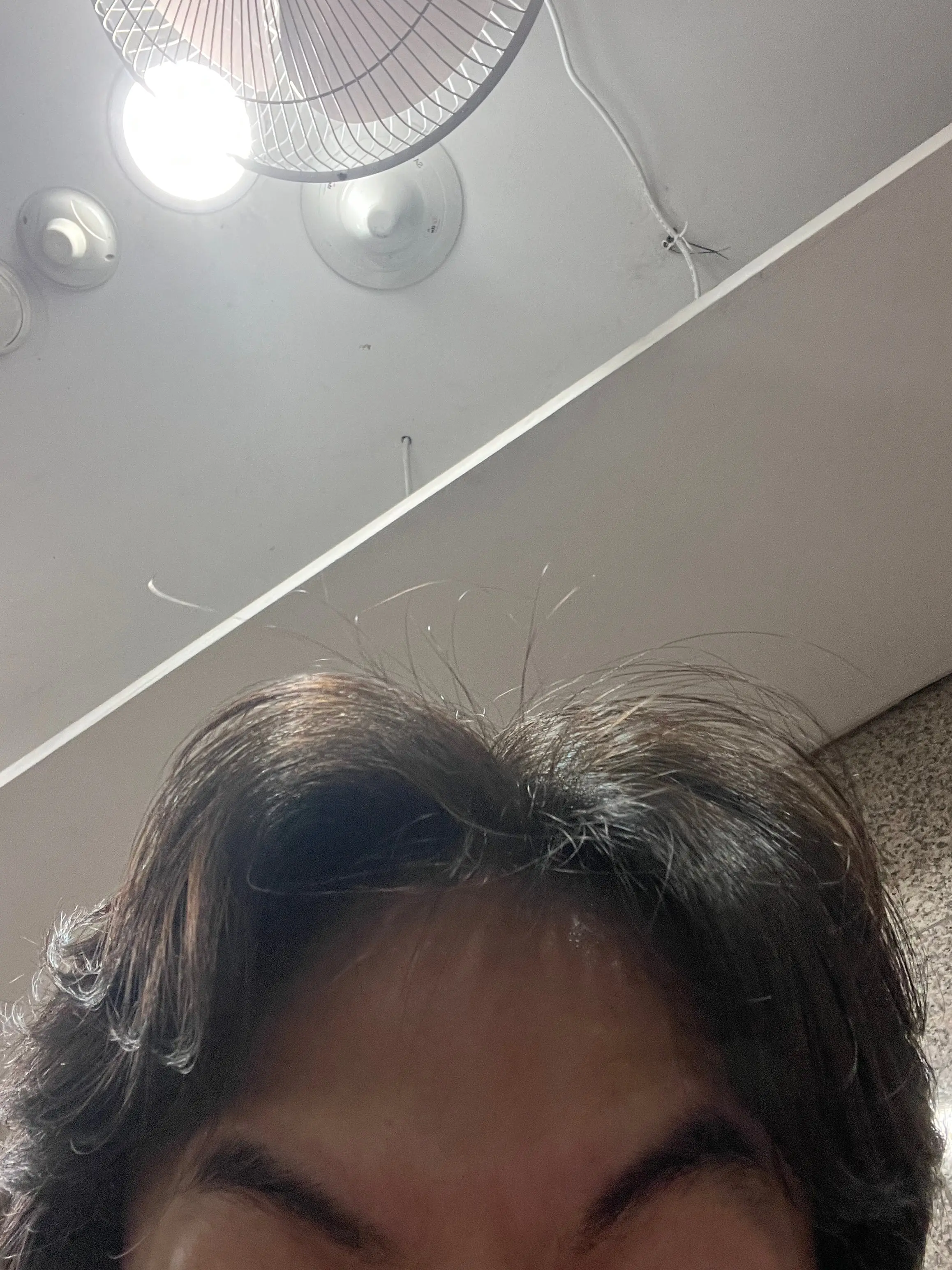 IMG_4554.jpeg