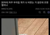 우리집개가 나 비웃는거 같은데 조현병이냐.jpg