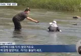 의외로 한국인을 많이 죽인 동물.jpg