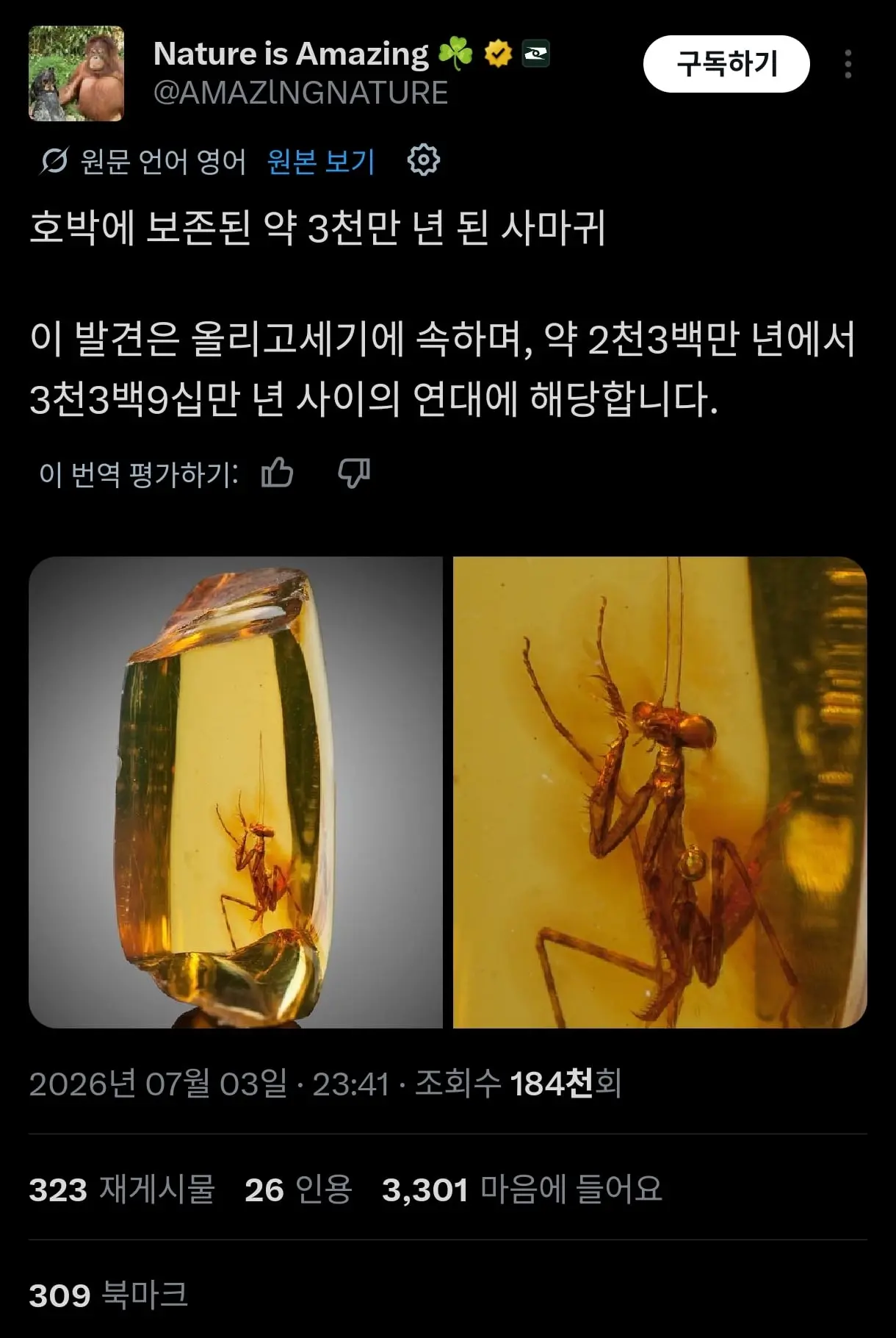 Screenshot_2026-07-04-09-05-39-150_com.twitter.android-edit.jpg