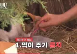 성역이 되어버린 '길고양이'의 실체
