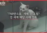 길냥이도 집냥이도 반토막? 고양이에게 대체 무슨 일이?