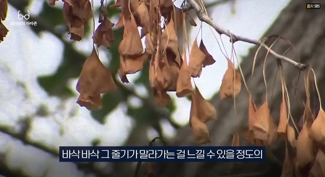 Screenshot_20260705_121239_YouTube.jpg