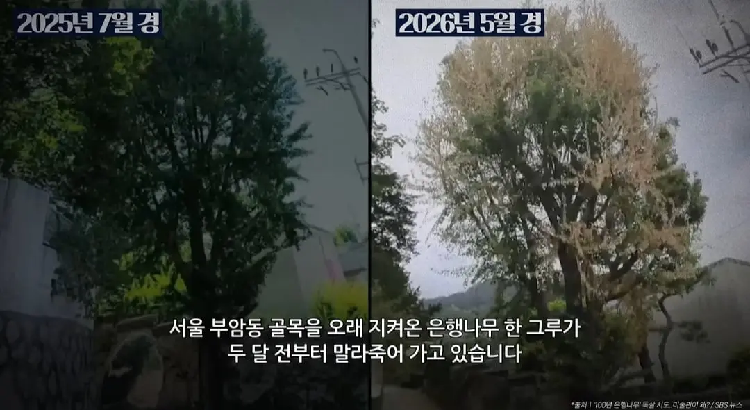Screenshot_20260705_121049_YouTube.jpg