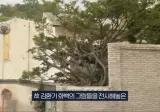 지금 나무때문에 난리났다는 환기미술관