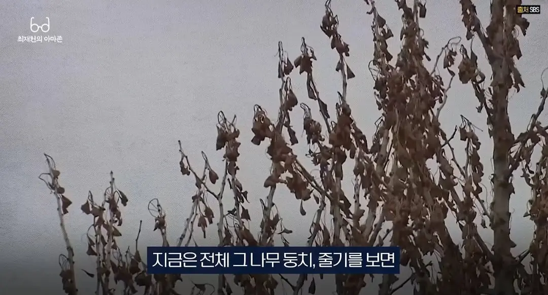 Screenshot_20260705_121236_YouTube.jpg