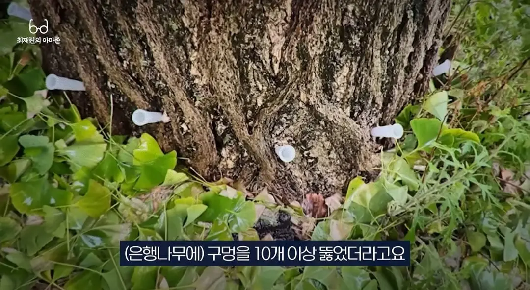 Screenshot_20260705_121213_YouTube.jpg