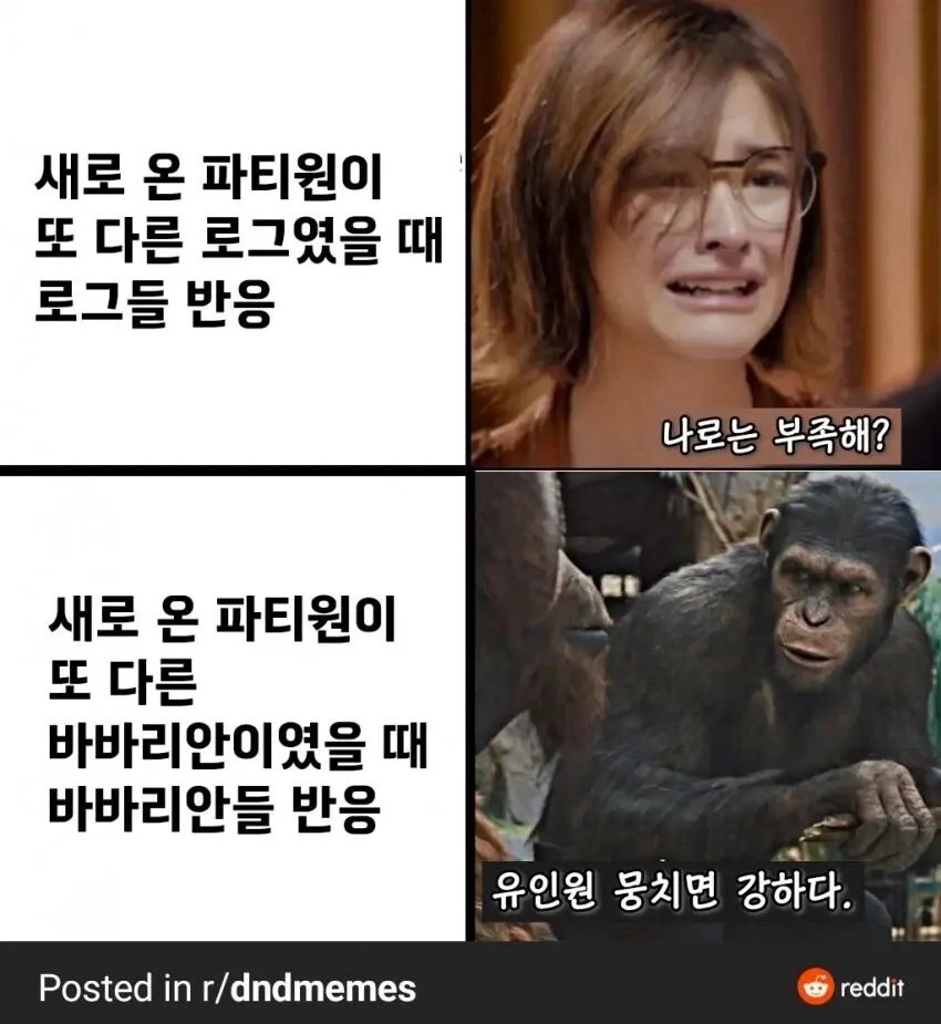 19f31040a44491da1.webp