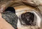 세상에서 가장 어색한 투샷