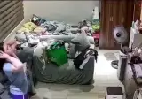 " 갑자기 발작하는 미친 고양이 .... " . GIF