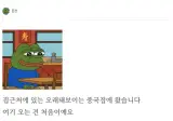 대한민국 충격의 간짜장 실태.jpg