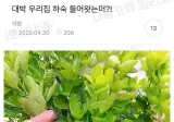 대박,,우리집에 하숙들어왔음!!!
