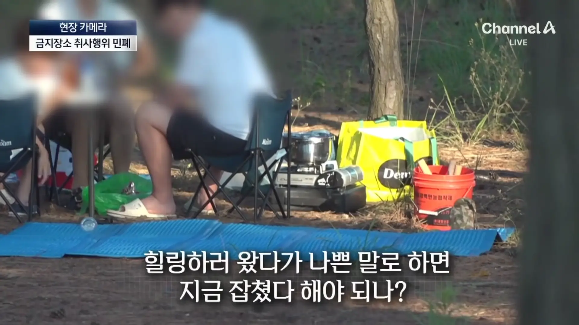 [현장 카메라]금지구역서 캠핑 걸리자 “불지르고 싶네”_ 채널A _ 뉴스A 0-40 screenshot.png