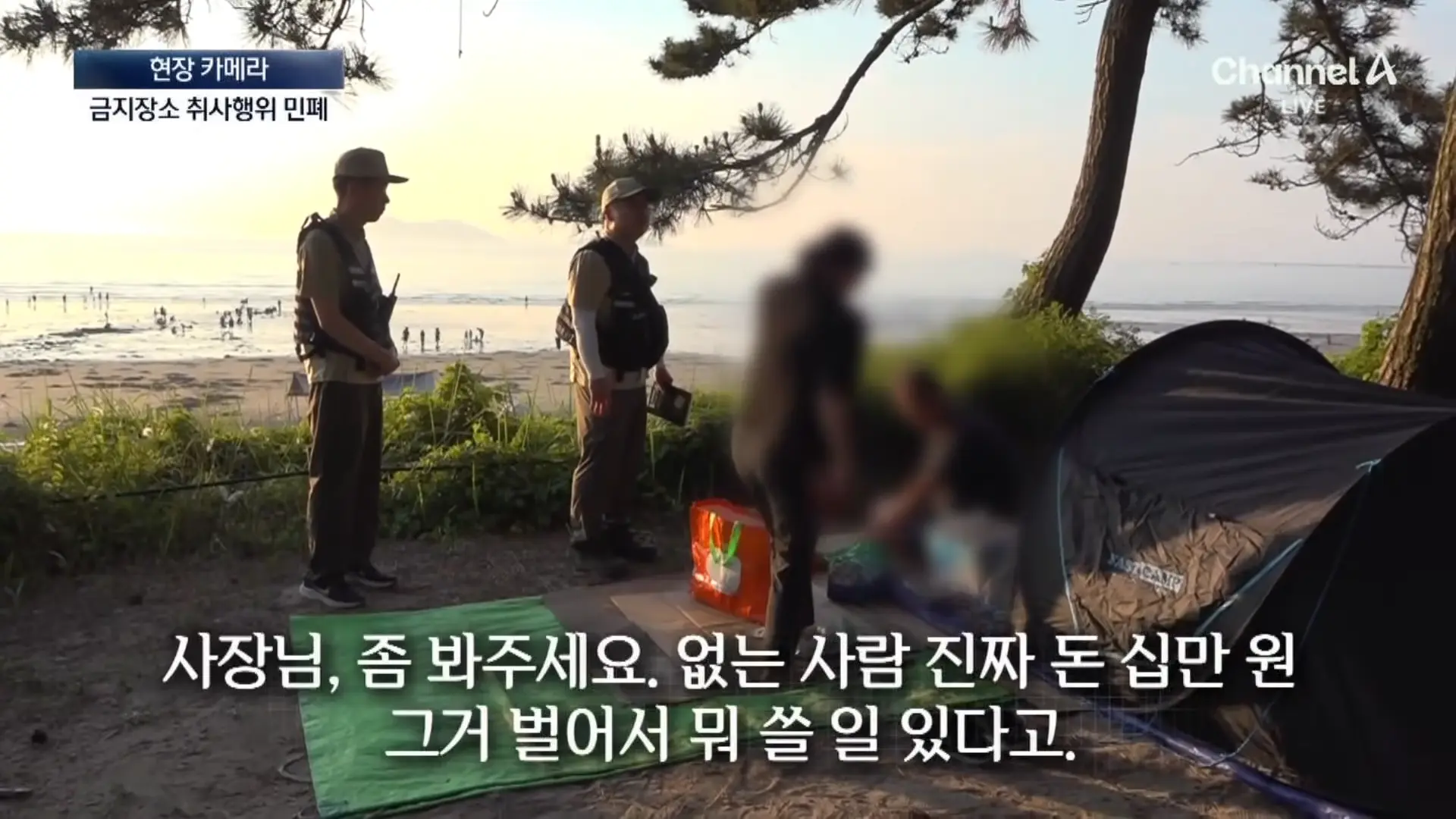 [현장 카메라]금지구역서 캠핑 걸리자 “불지르고 싶네”_ 채널A _ 뉴스A 1-5 screenshot.png
