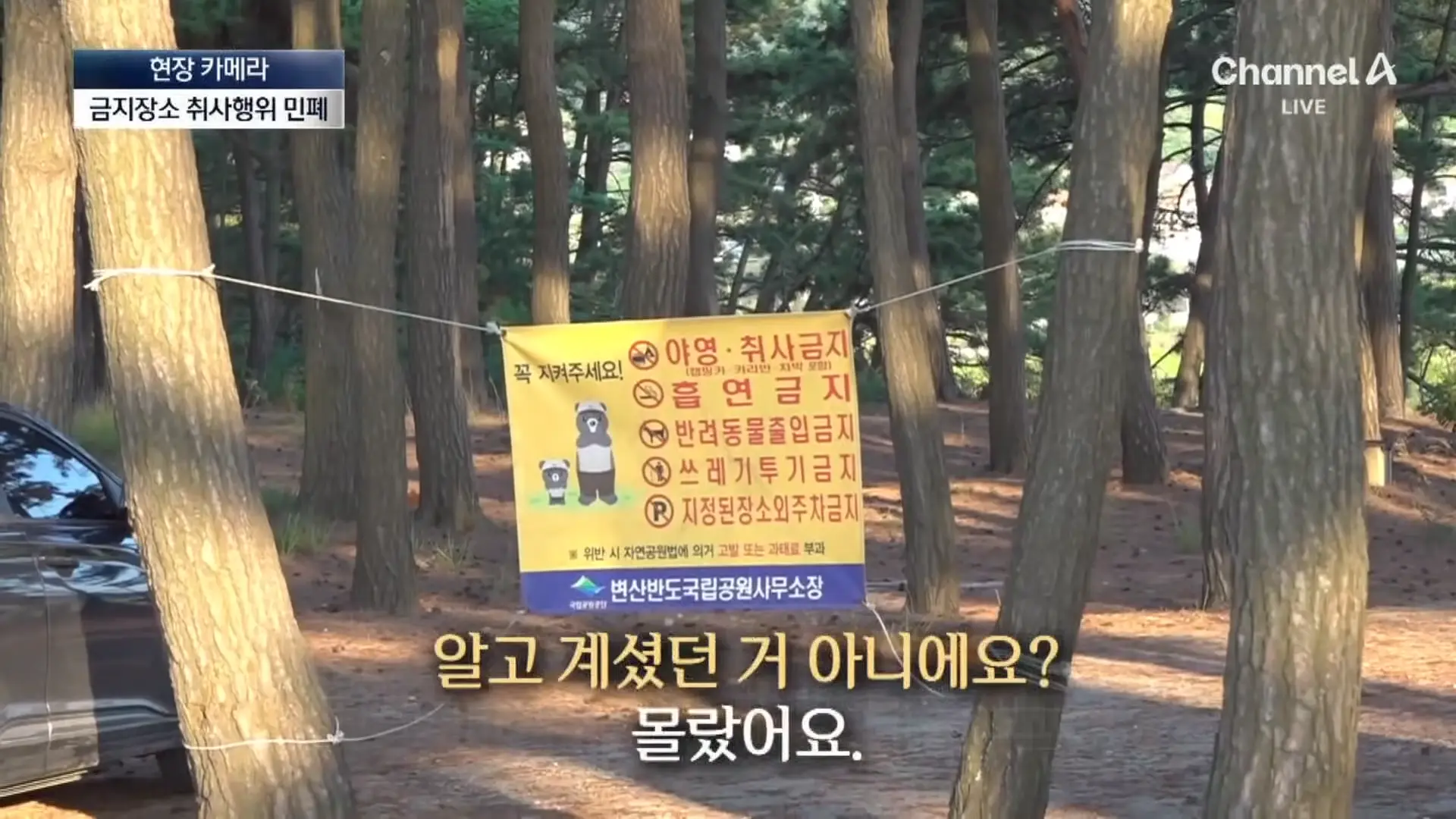 [현장 카메라]금지구역서 캠핑 걸리자 “불지르고 싶네”_ 채널A _ 뉴스A 0-50 screenshot.png