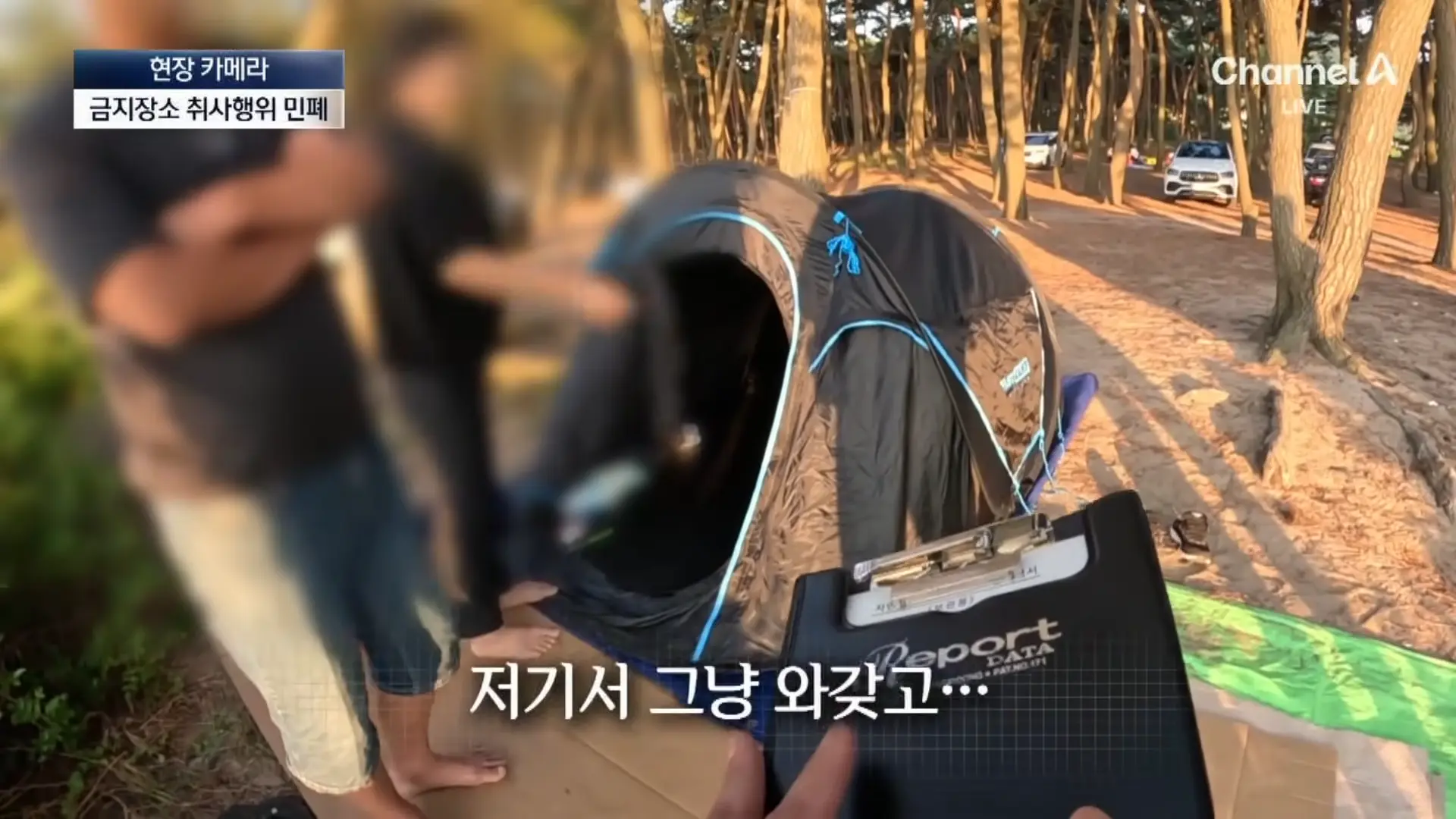 [현장 카메라]금지구역서 캠핑 걸리자 “불지르고 싶네”_ 채널A _ 뉴스A 1-9 screenshot.png