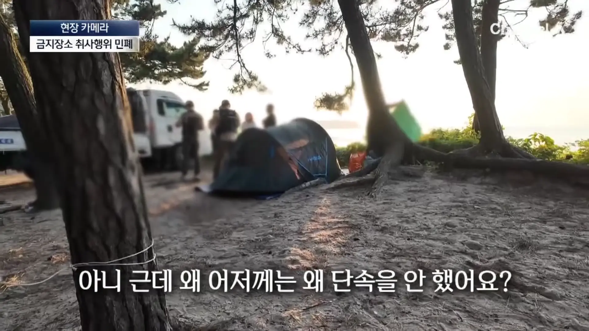 [현장 카메라]금지구역서 캠핑 걸리자 “불지르고 싶네”_ 채널A _ 뉴스A 1-15 screenshot.png