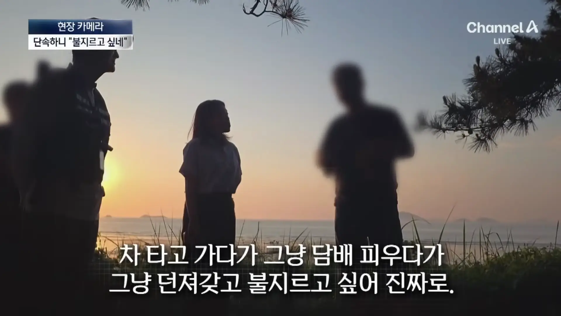 [현장 카메라]금지구역서 캠핑 걸리자 “불지르고 싶네”_ 채널A _ 뉴스A 1-29 screenshot.png