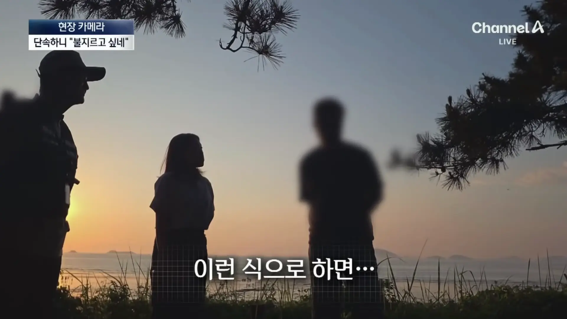 [현장 카메라]금지구역서 캠핑 걸리자 “불지르고 싶네”_ 채널A _ 뉴스A 1-33 screenshot.png