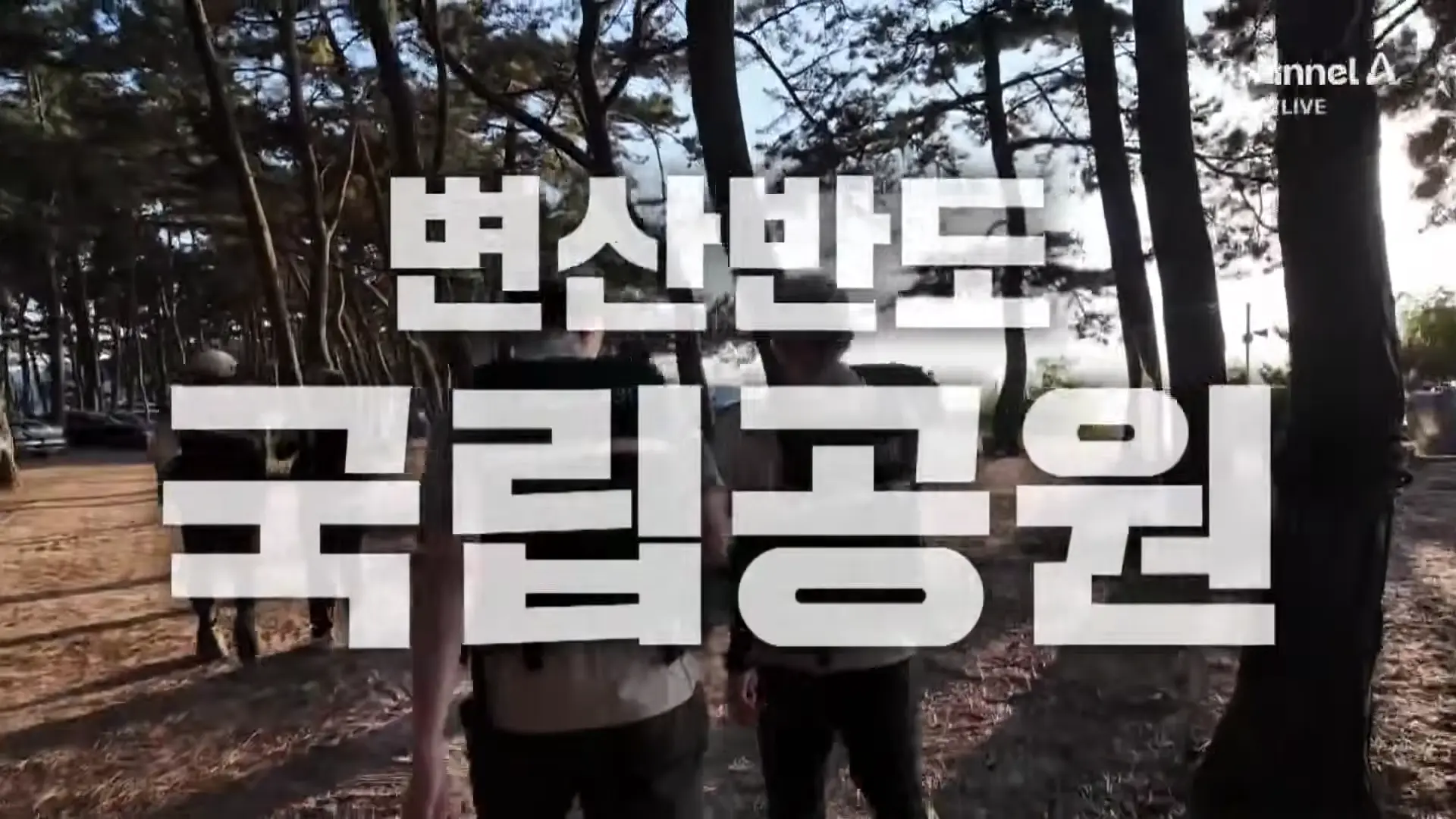 [현장 카메라]금지구역서 캠핑 걸리자 “불지르고 싶네”_ 채널A _ 뉴스A 0-20 screenshot.png