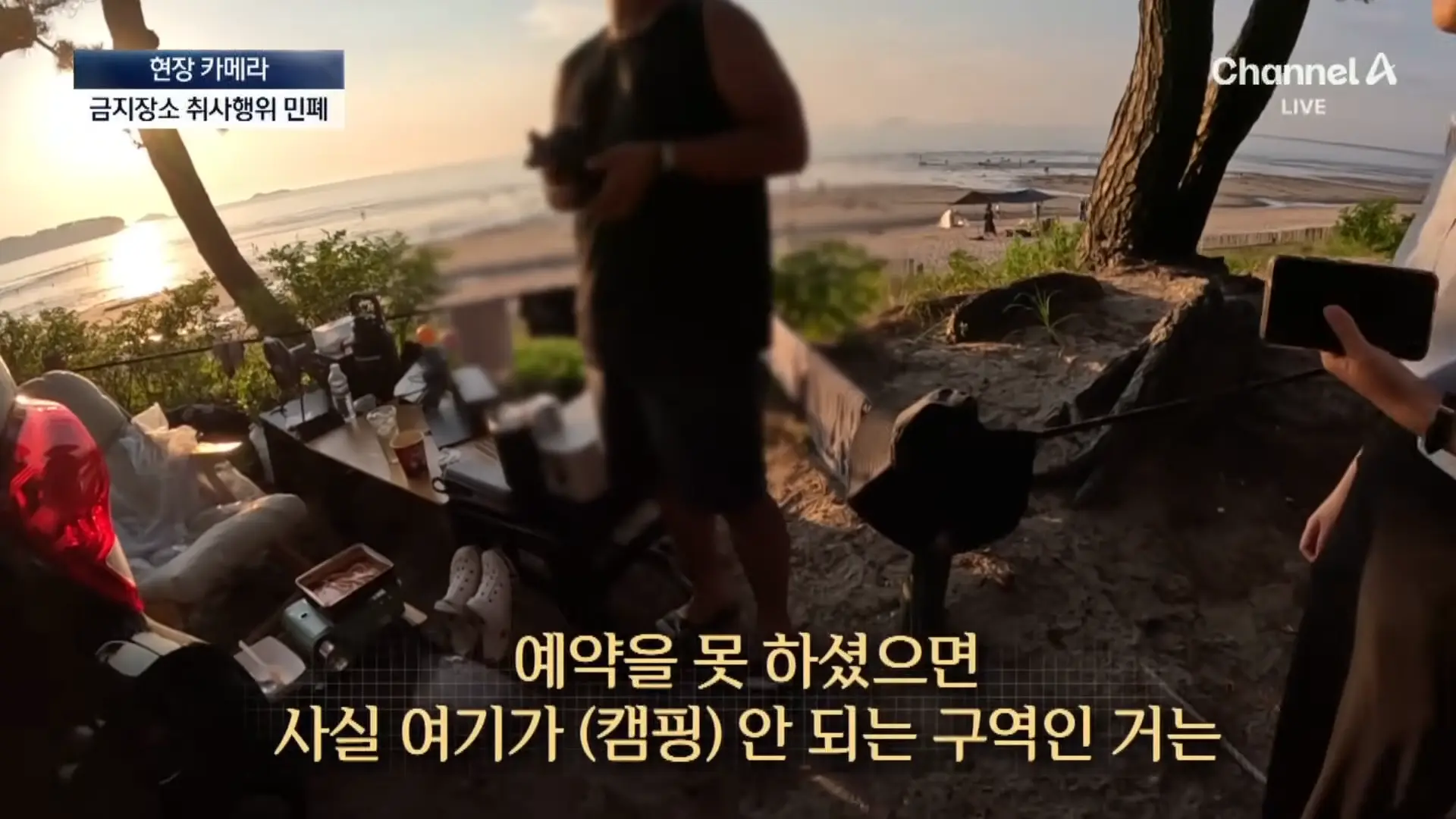 [현장 카메라]금지구역서 캠핑 걸리자 “불지르고 싶네”_ 채널A _ 뉴스A 0-46 screenshot.png