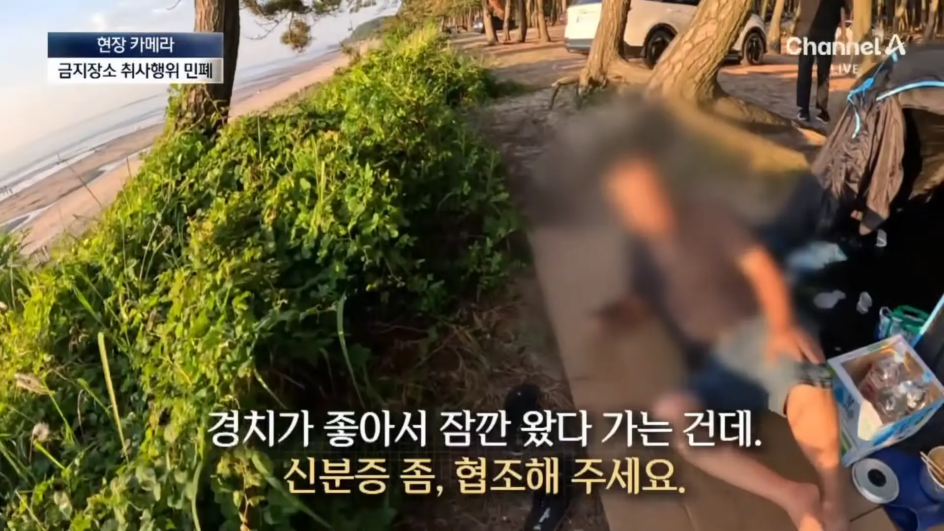 [현장 카메라]금지구역서 캠핑 걸리자 “불지르고 싶네”_ 채널A _ 뉴스A 1-0 screenshot.png
