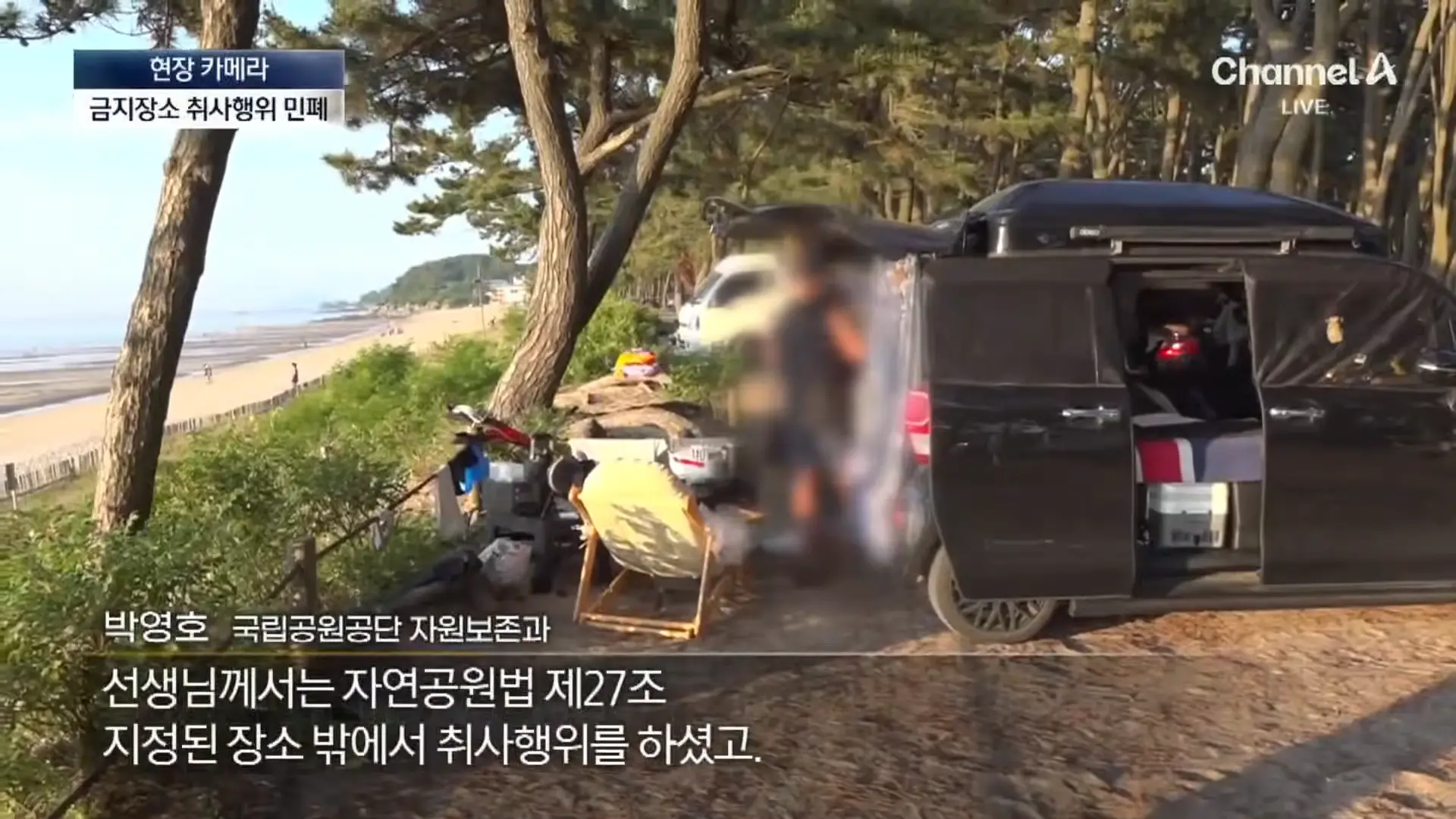 [현장 카메라]금지구역서 캠핑 걸리자 “불지르고 싶네”_ 채널A _ 뉴스A 0-23 screenshot.png