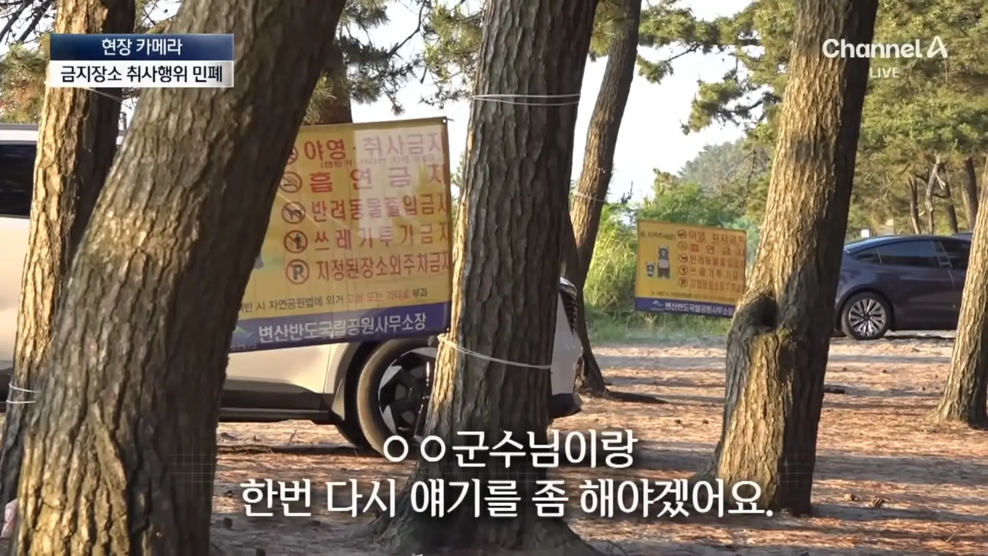 [현장 카메라]금지구역서 캠핑 걸리자 “불지르고 싶네”_ 채널A _ 뉴스A 0-52 screenshot.png