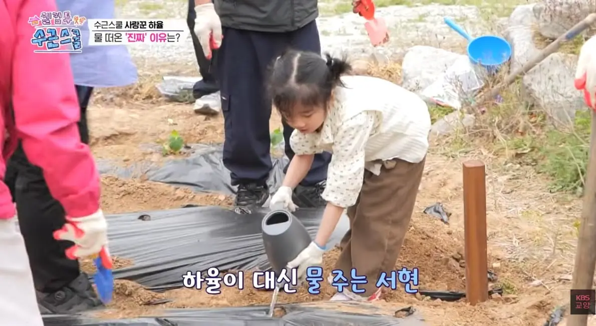 짝사랑 앞에선 오로지 직진 뿐이라는 남자아이의 사랑법…jpg | 인스티즈 KBS1에서 하트시그널 찍고있다는 어린이.jpg