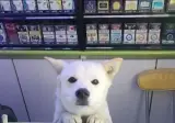 암캐가 되어버린 편의점직원.jpg