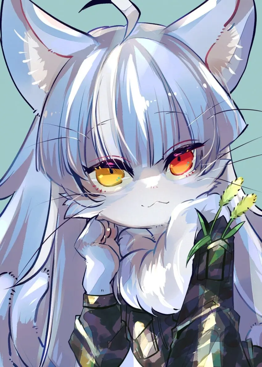1000040288.jpg