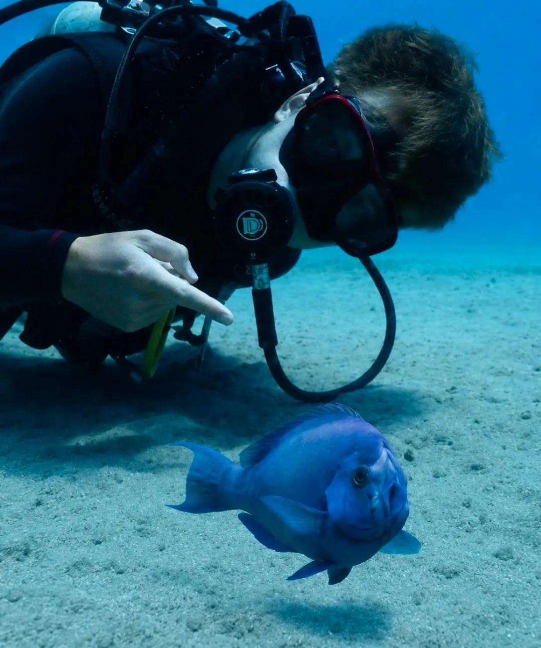 Screenshot_20260708_231311_Threads.jpg