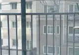 혹시.. 고양이 키우는 형들있어..?