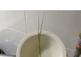 직접기른 대파로 만든 떡볶이