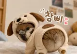 젠더리빌 해보려고하는데 이렇게하는거아닌가??
