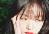 이채영 박지원