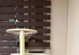 캣타워를 너무 일찍 산사람.jpg
