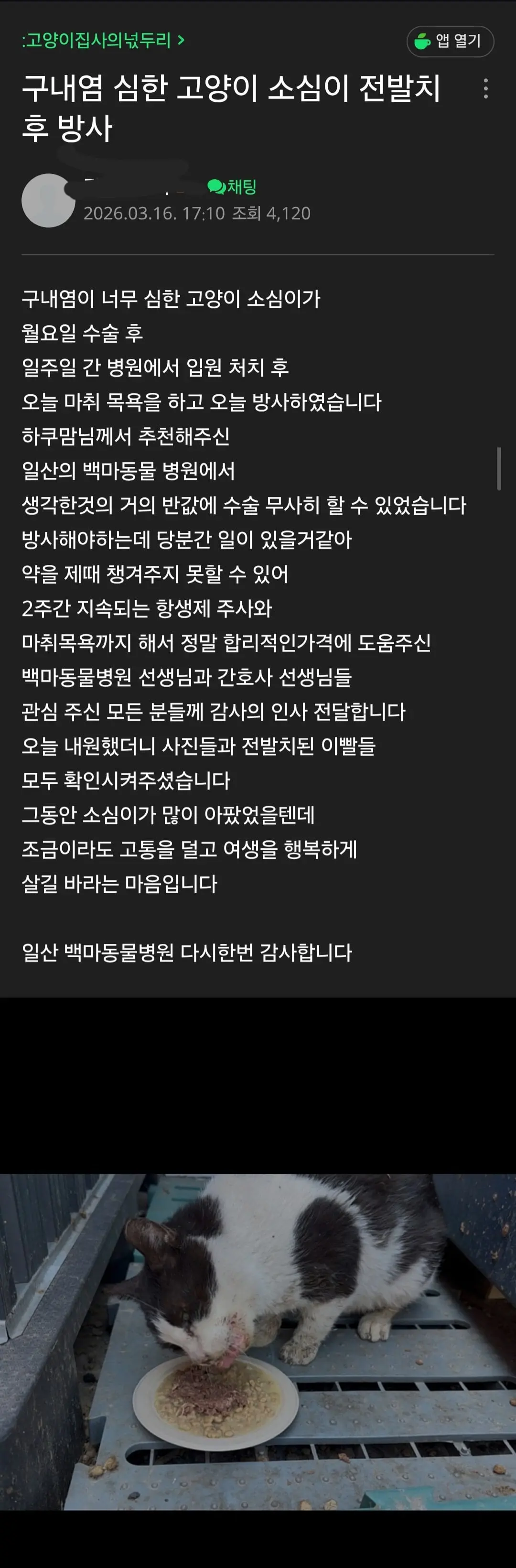 Screenshot_20260710_165338_Samsung Browser.jpg