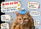전국 폭염 '경계' 격상.. 다들 올여름 무더위 어떻게 버티고 계신가요?
