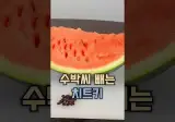 수박 씨 빼는 치트키.shorts