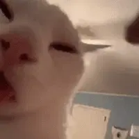 1000020759
