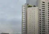 중국인 89억 타워팰리스 전액 대출로 매입