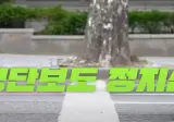 평범해 보이는 청주의 횡단보도