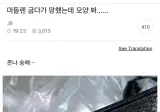 마들렌 굽다가 망했는데 모양 봐.jpg