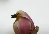 새를 닮은 꽃 "자목련 꽃 봉우리"