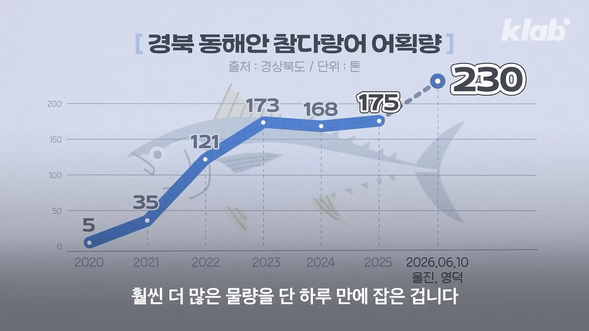 ‘제발 그만 좀 잡혀라’ 동해 어부들이 참치를 다시 버리는 이유|크랩_20260712_130626.268.jpg